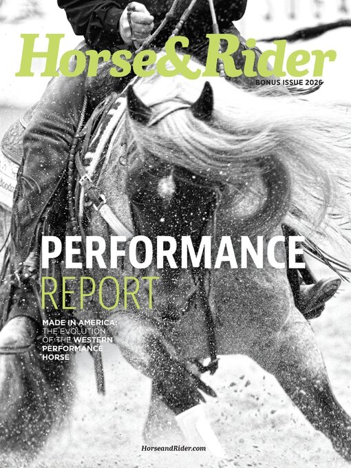 Cover image for Horse & Rider
